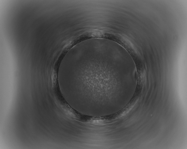 X0000116450228200912151306