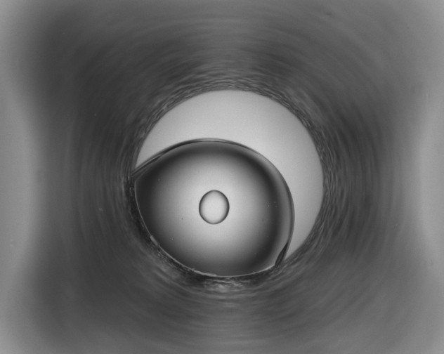 X0000116450229200912151306