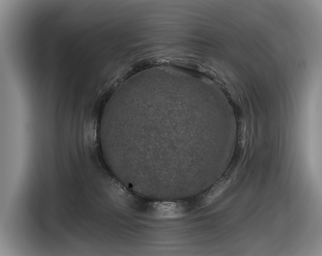 X0000116450230200912151306