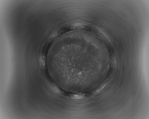 X0000116450232200912151306