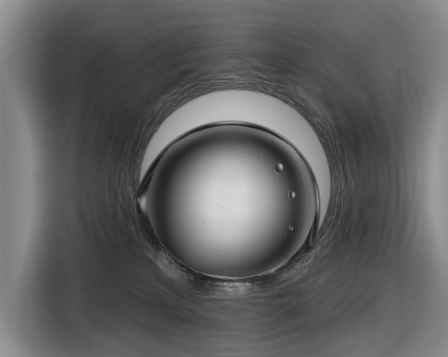 X0000116450233200912151306