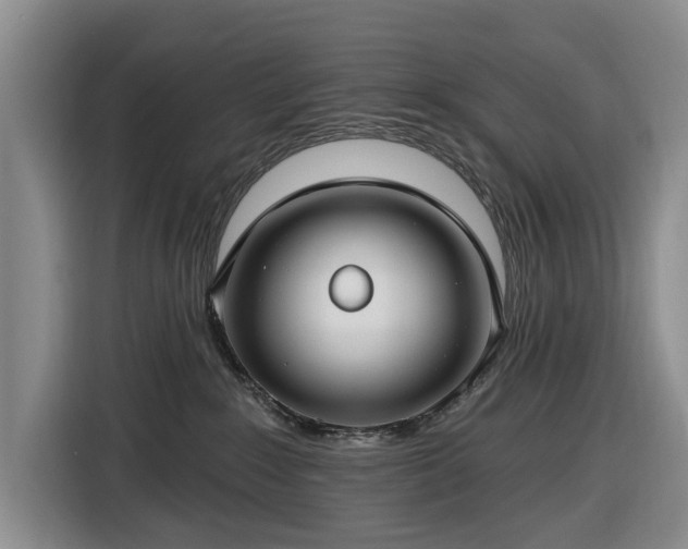 X0000116450235200912151306