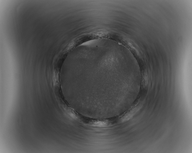 X0000116450236200912151306