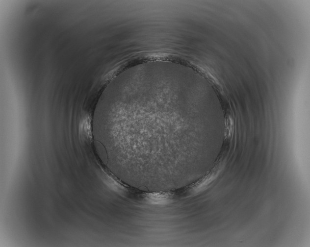 X0000116450238200912151306