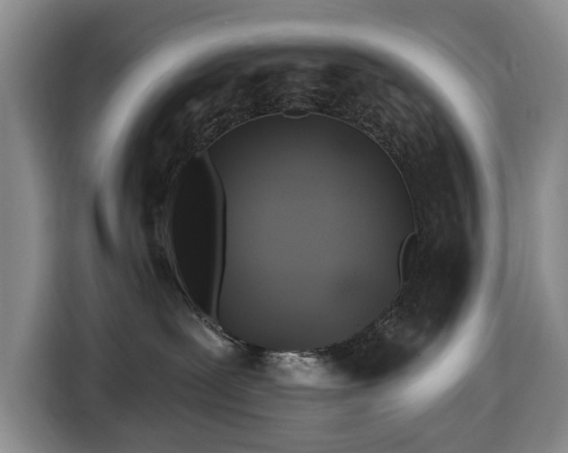 X0000116450239200912151306