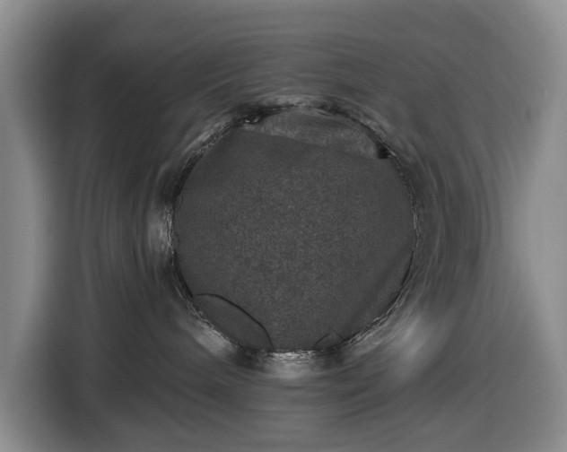 X0000116450240200912151306