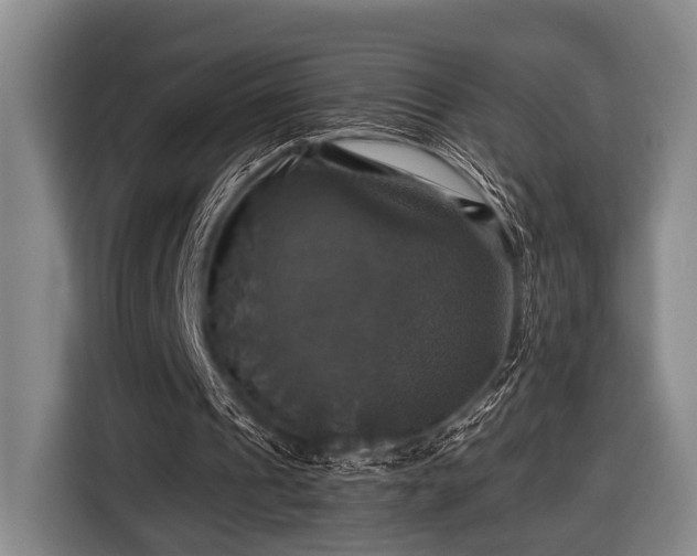 X0000116450241200912151305