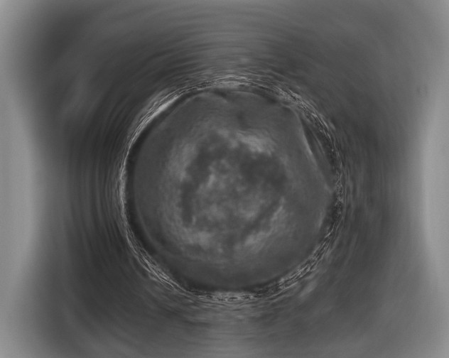 X0000116450242200912151306