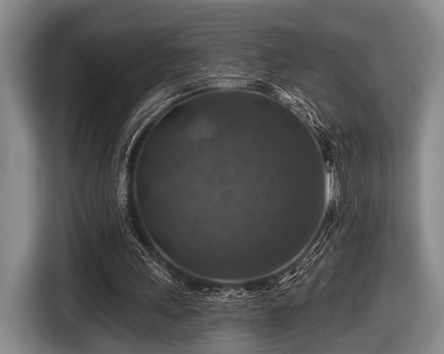 X0000116450243200912151306