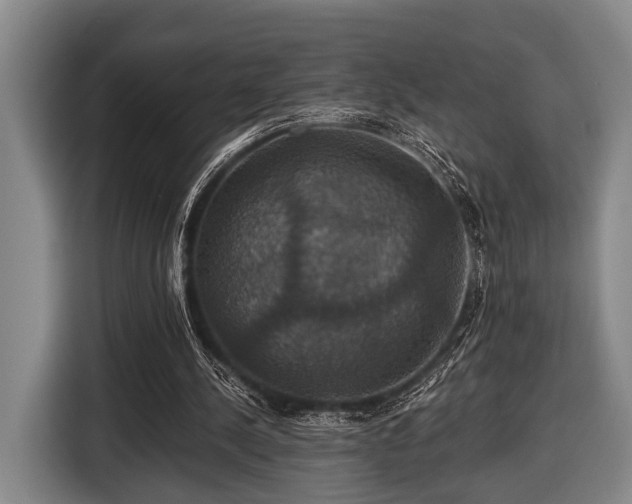 X0000116450244200912151306