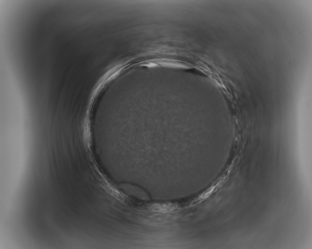 X0000116450245200912151306