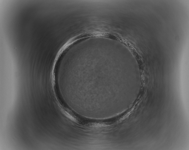 X0000116450246200912151306
