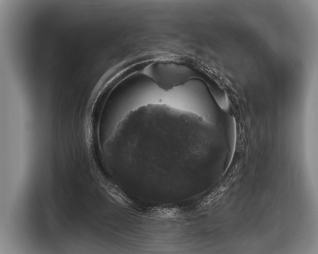 X0000116450247200912151306