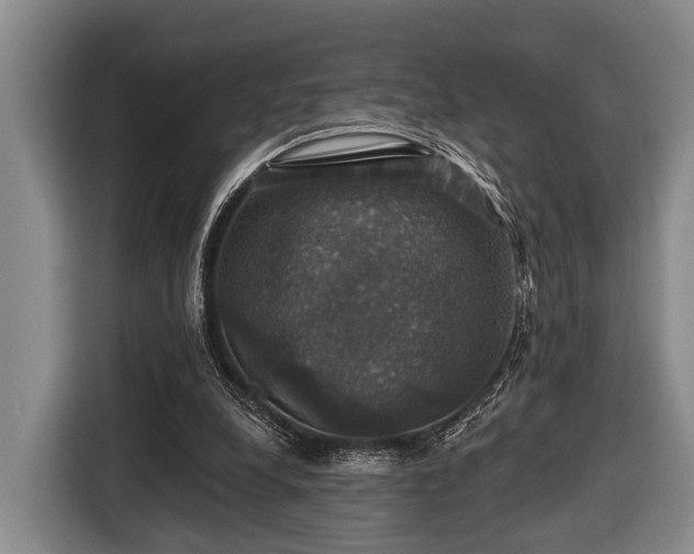 X0000116450248200912151306