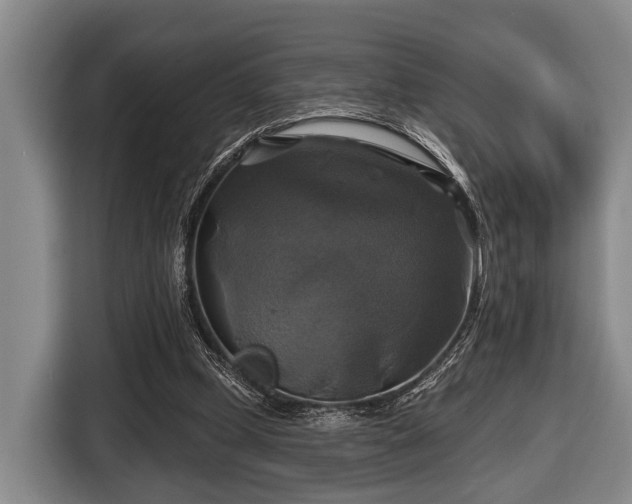 X0000116450249200912151306