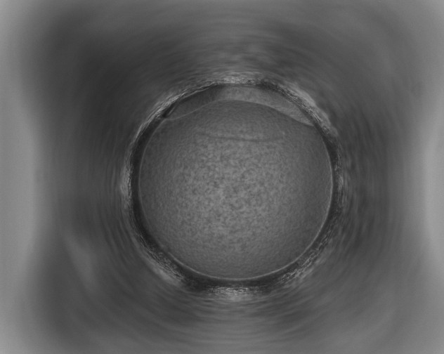 X0000116450250200912151306