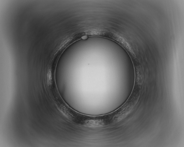 X0000116450251200912151306