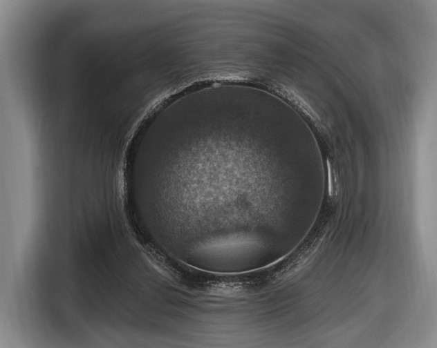 X0000116450252200912151306