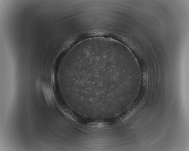 X0000116450254200912151306