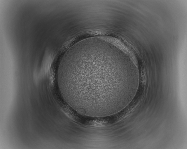 X0000116450255200912151306