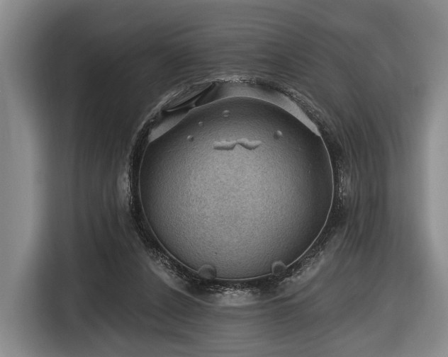 X0000116450256200912151306
