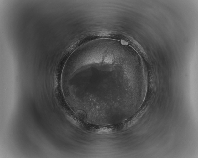 X0000116450257200912151306
