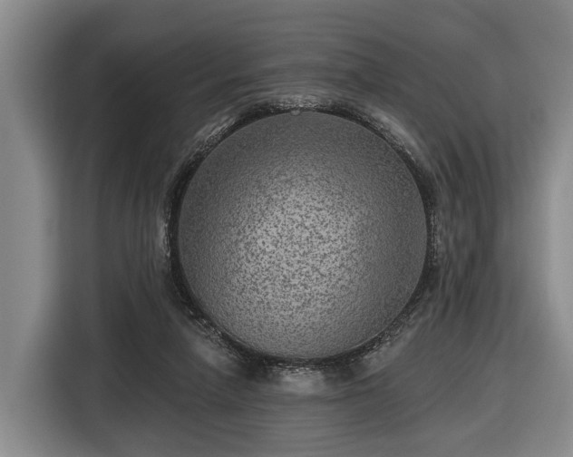 X0000116450258200912151306