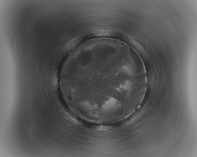 X0000116450261200912151306