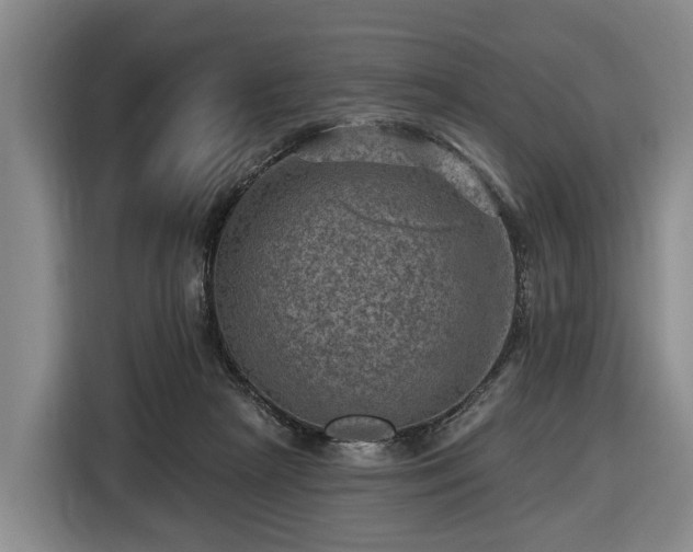 X0000116450265200912151306