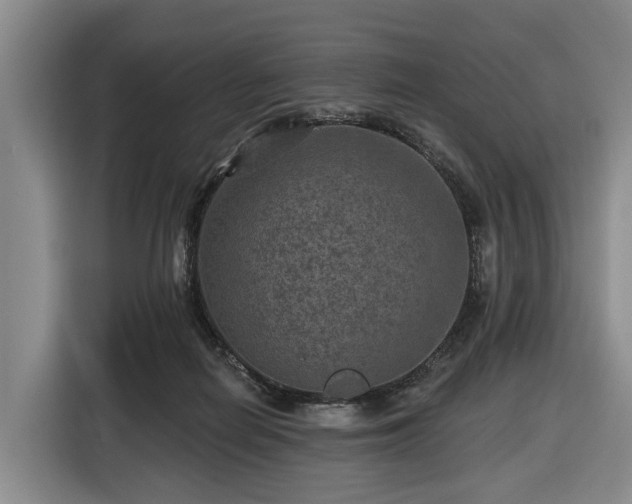X0000116450266200912151306