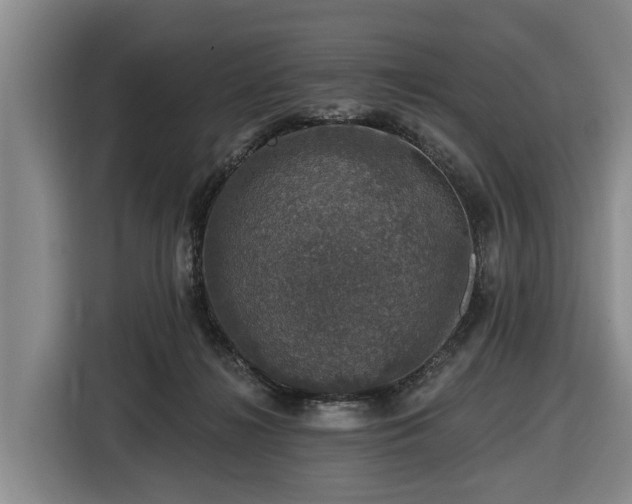 X0000116450268200912151306
