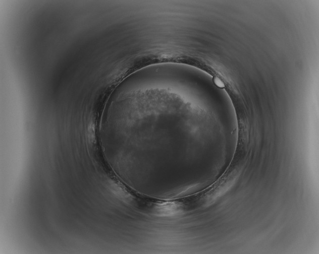X0000116450269200912151306