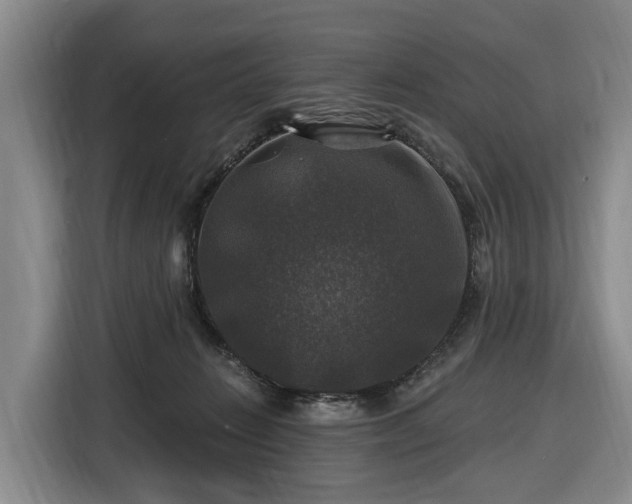 X0000116450270200912151306