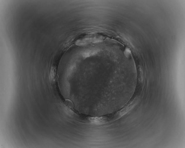 X0000116450273200912151306