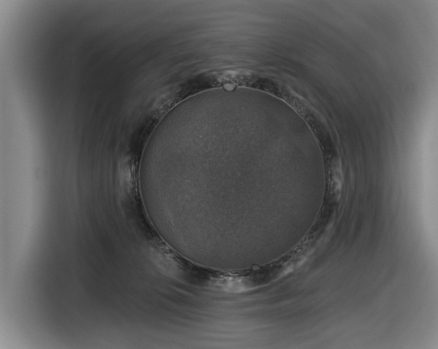 X0000116450276200912151306
