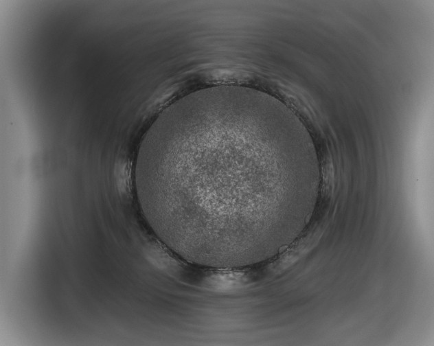 X0000116450278200912151306