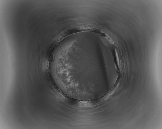 X0000116450281200912151306