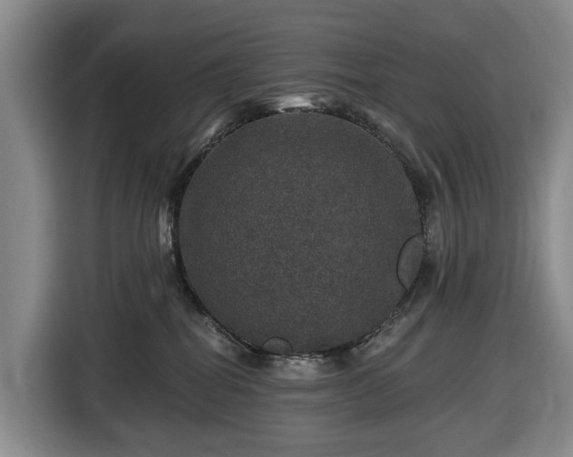 X0000116450282200912151306