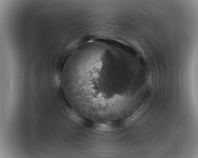 X0000116450285200912151306