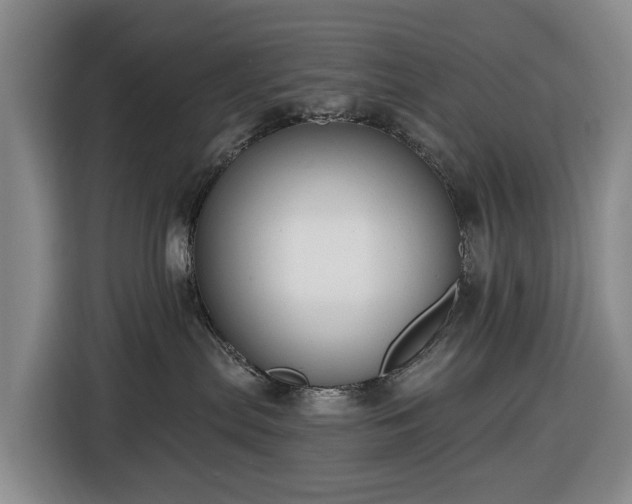 X0000116450287200912151306