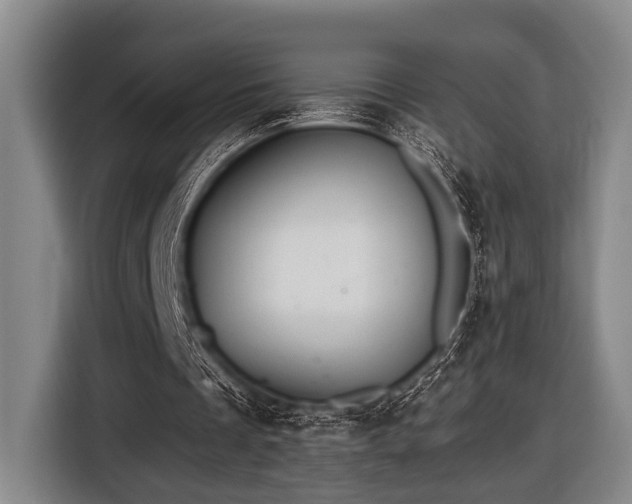 X0000116450289200912151305