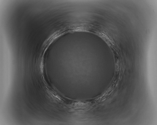 X0000116450290200912151305