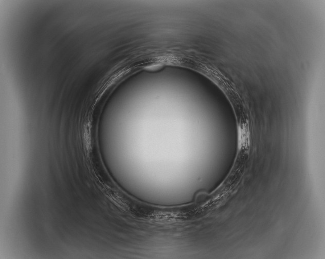 X0000116450291200912151305
