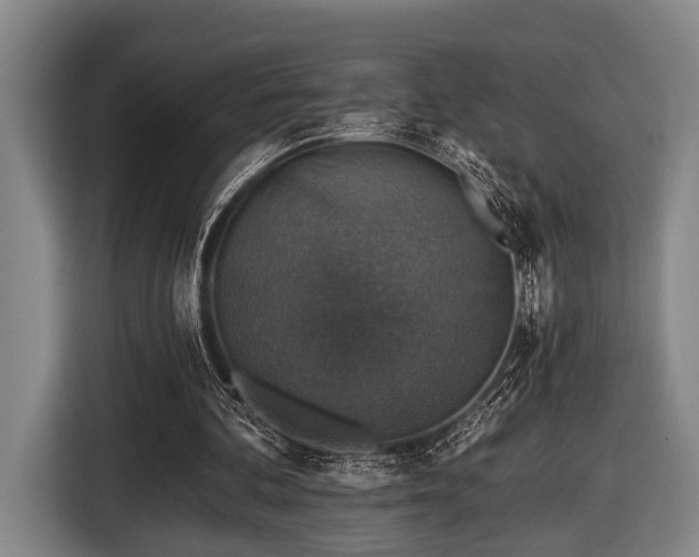 X0000116450292200912151305