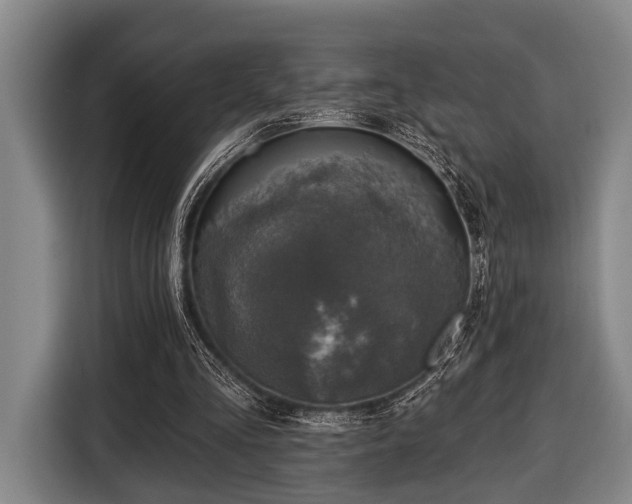 X0000116450293200912151305