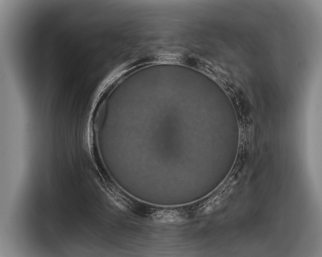 X0000116450294200912151305