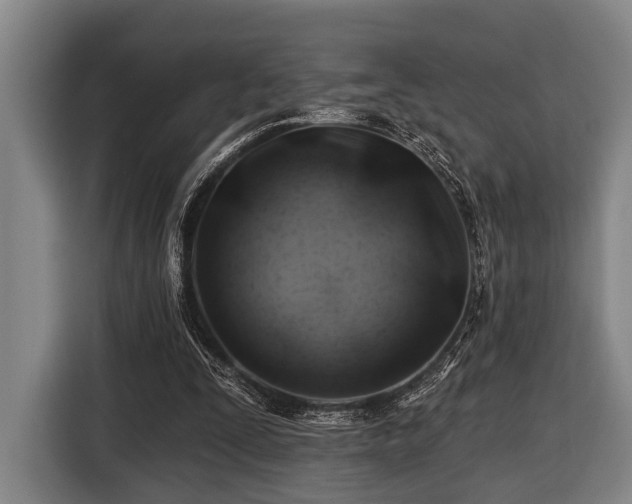 X0000116450295200912151305