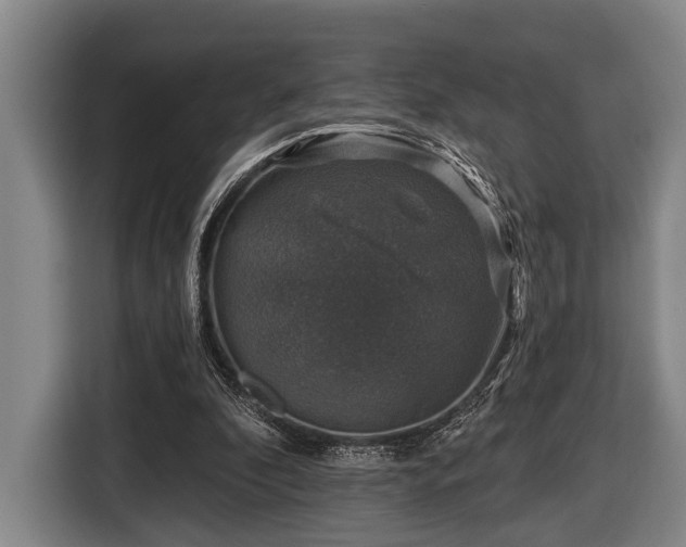 X0000116450296200912151305