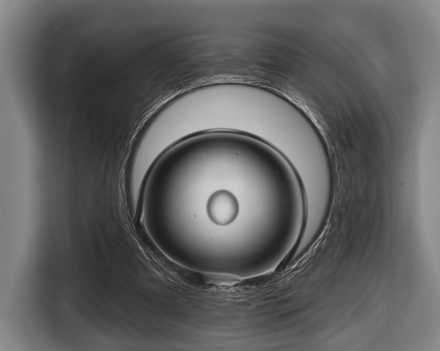 X0000116450297200912151305
