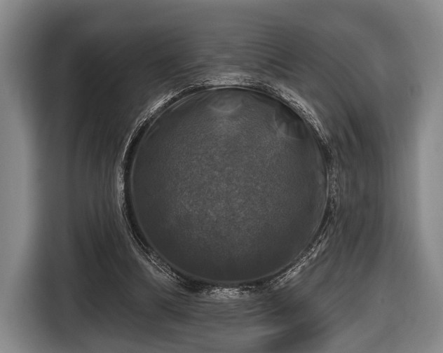 X0000116450298200912151305